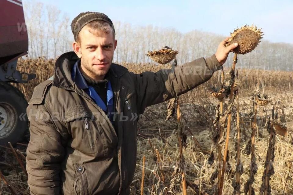 ООО Мелира Поспелихинский район. ООО Мелира Поспелихинский район Алтайский край. Хлебороб Алтайский край. Хлеборобное Поспелихинский район. Погода хлебороб алтайский край