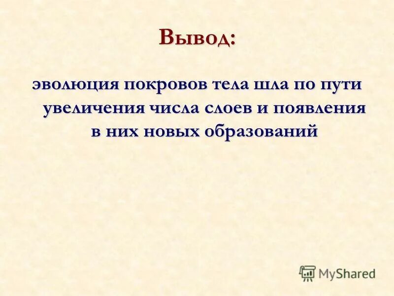 Покров тела ежа. Эволюция покровов тела шла по пути. Заключение Эволюция. Эволюция человека вывод. Вывод: Эволюция человека шла по пути ….