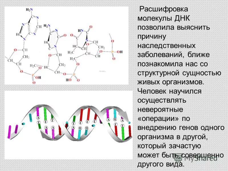 Днк какая форма. Расшифровка строения молекулы ДНК. Структуру молекулы ДНК расшифровали. Расшифровка структуры молекулы ДНК. ДНК это расшифровка ДНК это расшифровка.