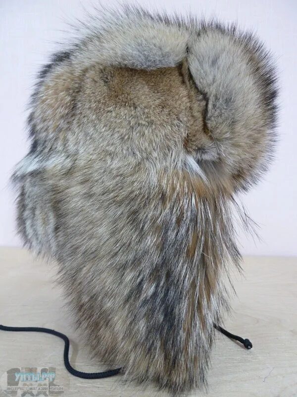меховая шапка с ушками. шапка из меха волка. шапка 'волк'. шапка из меха волка. ушанка койот мужская.