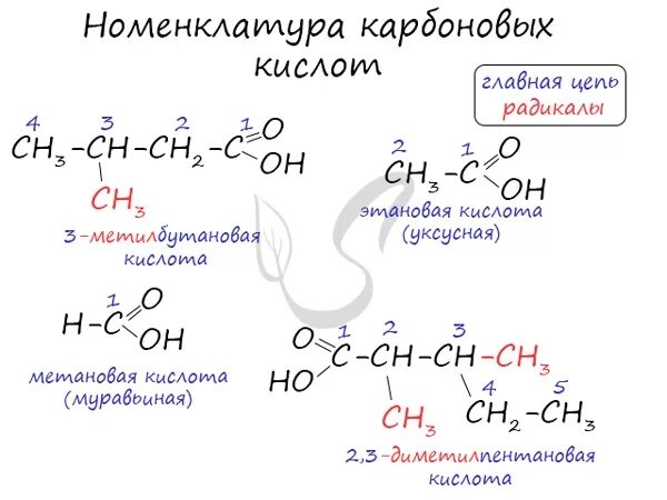 Какая изомерия характерна для карбоновых кислот. Изомерия углеродного скелета карбоновых кислот. Углеродный скелет карбоновых кислот. Пентановая карбоновая кислота. Изомеры углеродного скелета карбоновых кислот.