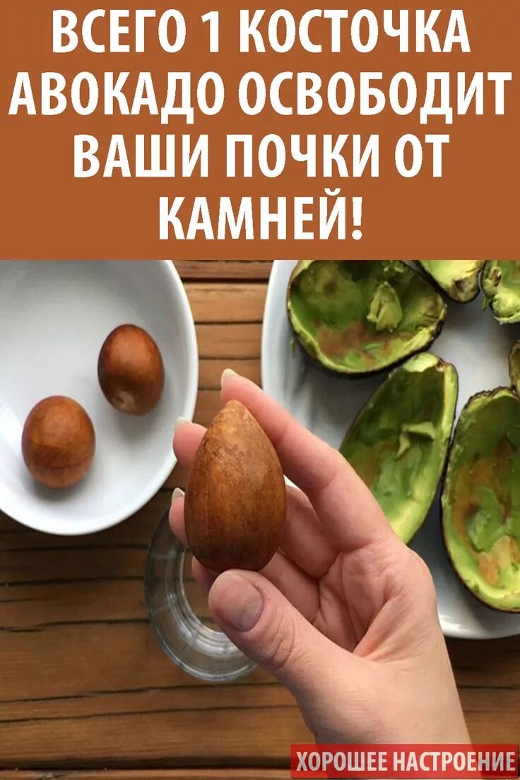Полезные свойства косточки авокадо. Косирчуа аваквдо. Косточка авокадо в разрезе. Применение косточки авокадо. Семена авокадо.