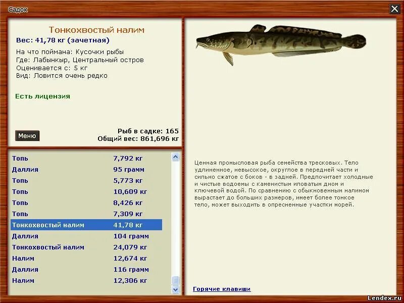 Игра русская рыбалка лабынкыр. Рыба Топь Лабынкыр. Тонкохвостый налим. Русская рыбалка 3 лабынкырглубиннаяя щука. Список редких рыб Лабынкыр.