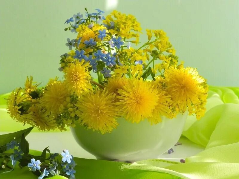 Теплого настроения и добра. Солнечный цветок. Букет одуванчиков. Яркие солнечные цветы. Солнечный букет одуванчиков.