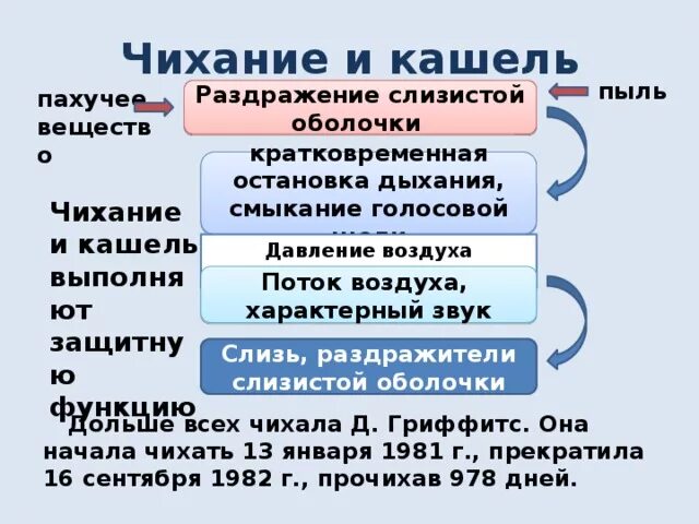 Когда чихаешь сердце останавливается. Чихание патогенез. Сходства и различия кашля и чихания. Схема чихания человека. Схема механизма чихания и кашля.