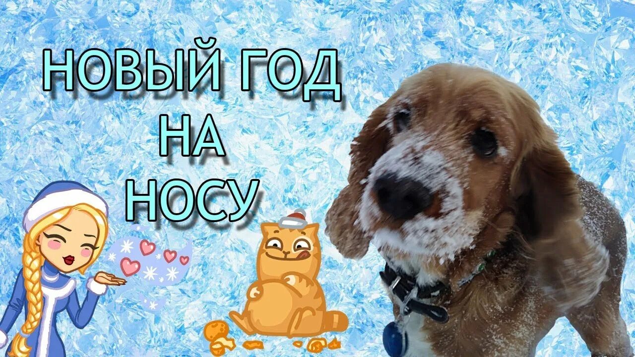 Праздник на носу фото - DelaDom.ru
