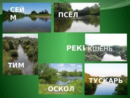 Куда впадает сейм