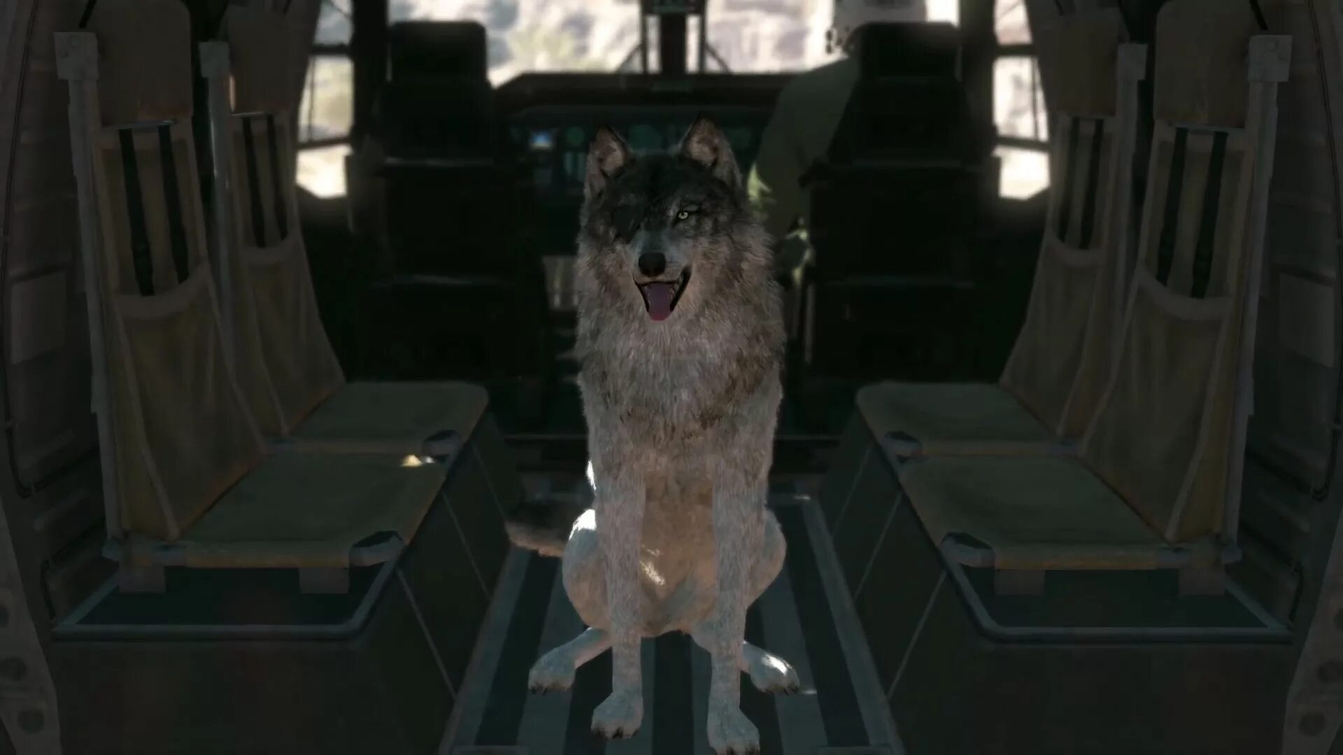 Mgs terminal ru. Metal Gear Solid 5: the Phantom Pain Dog. DD Metal Gear Solid 5. D-Dog MGS 5. Metal Gear Solid 5 собака.