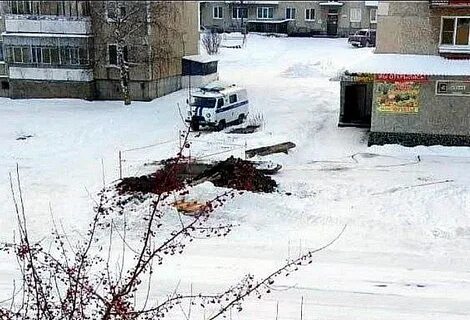 Найди в карпинске