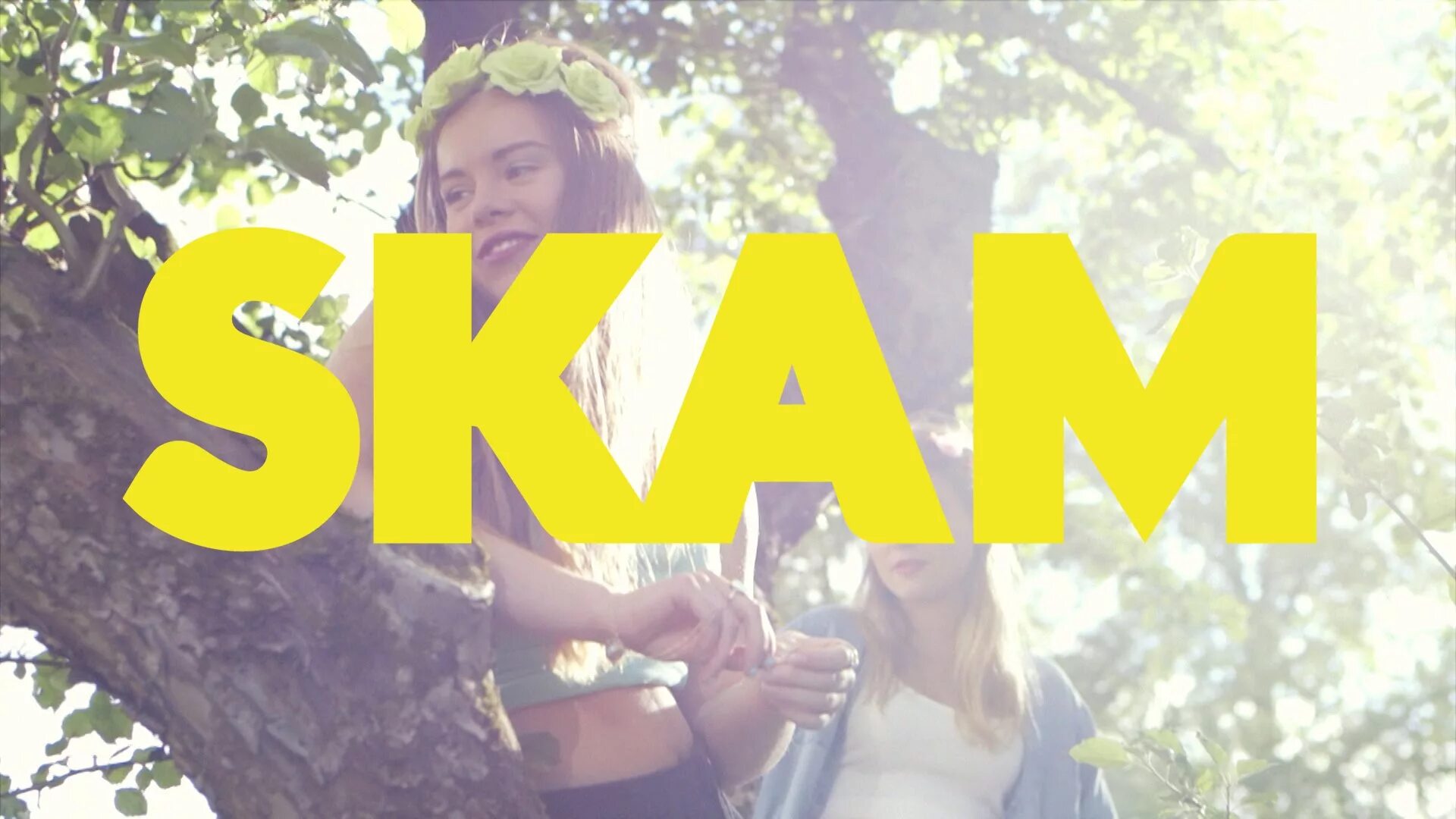 Скам ссылка на телефоне. Скам ссылка на телефоне. Скам норвегия постер. Skam норвежский. Скам норвегия постер.