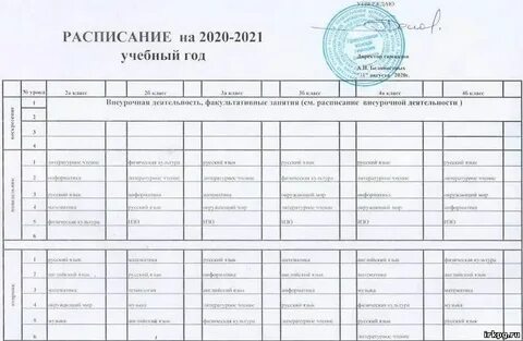 Эмш расписание