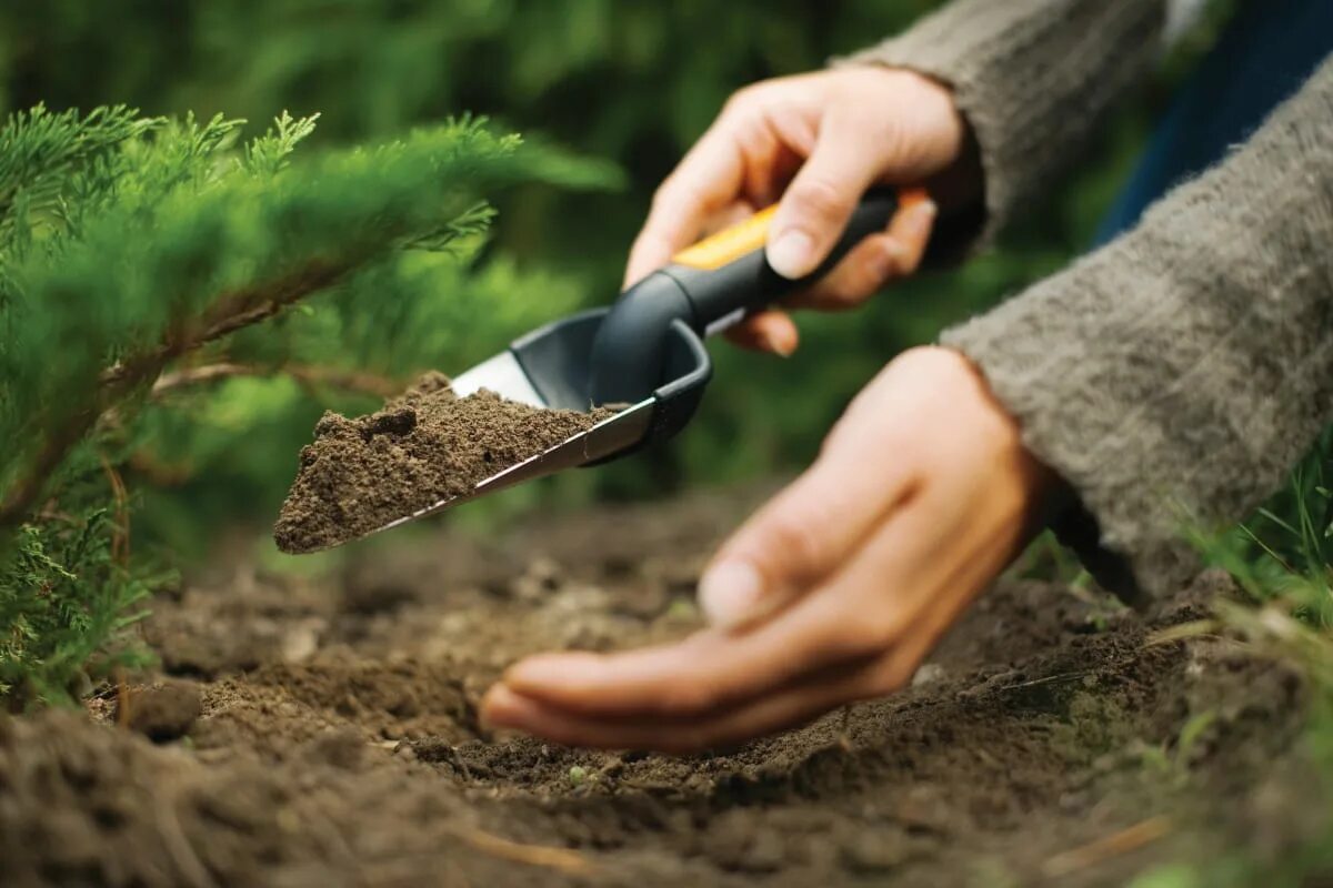 Совок семена. Совок fiskars совок 137200. Фискарс совок для рассады. Совок для посадки fiskars. Инвентарь для посадки деревьев.
