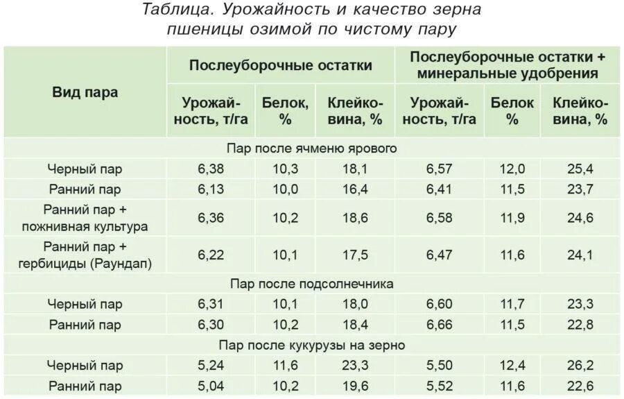 Класс пшеницы. Средний сбор зерна кукурузы с 1 га. показатели фуражной пшеницы. урожайность кукурузы на зерно с 1 га. показатели фуражной пшеницы качественные.