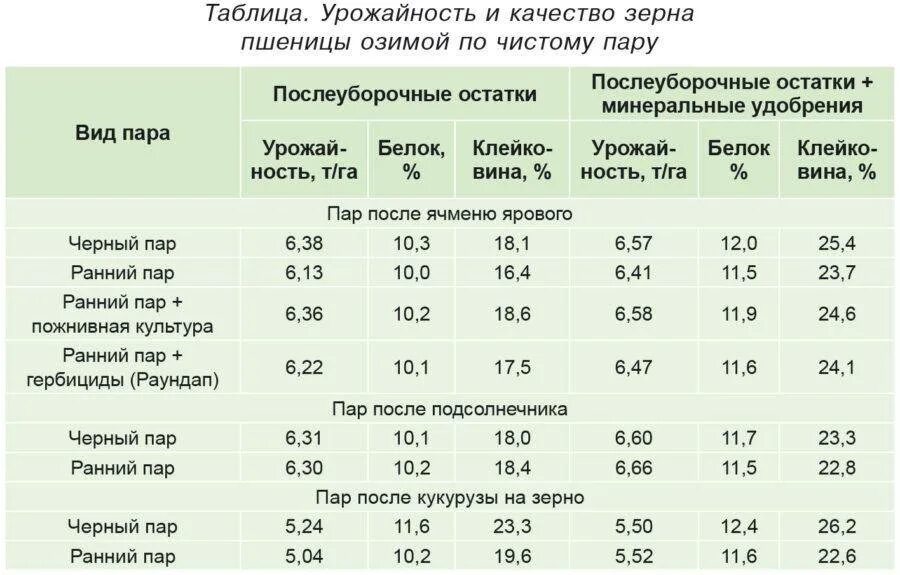 Современная урожайность. Средний сбор зерна кукурузы с 1 га. Показатели фуражной пшеницы. Показатели фуражной пшеницы качественные. Урожайность озимой пшеницы по сортам таблица.