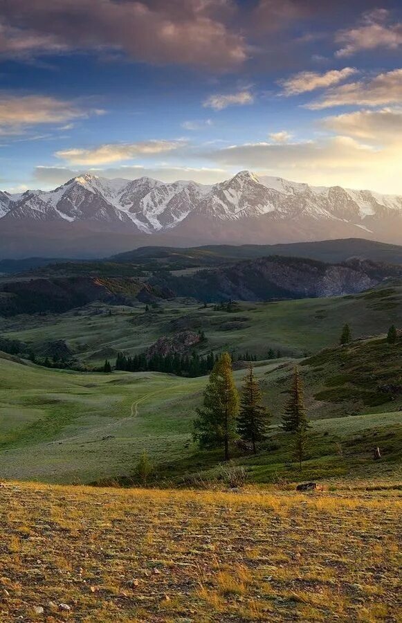 Spring Landscape Wild Flowers Yellow Color Lake Mountains With Remains Of Snow H