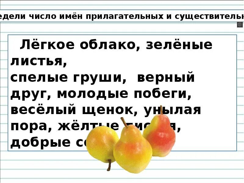 Число имен прилагательных 2 класс презентация. Сущ множественного яблок груш. Рефлексия по русскому языку имя прилагательное. Единственное и множественное число имён прилагательных.задания. Число прилагательных 2 класс школа россии