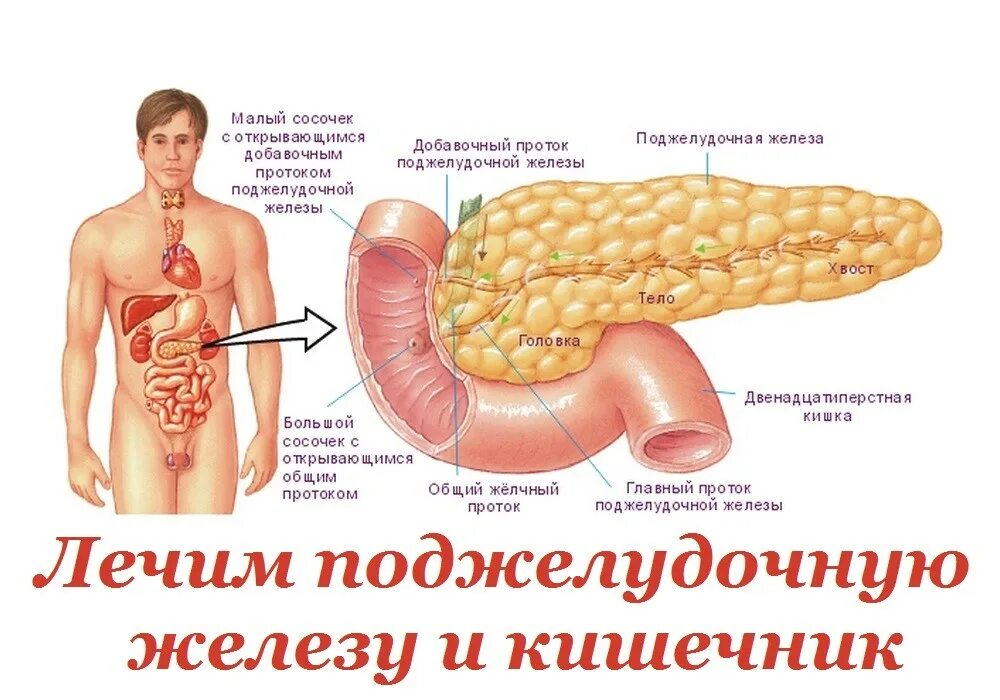 Сильная боль в поджелудочной