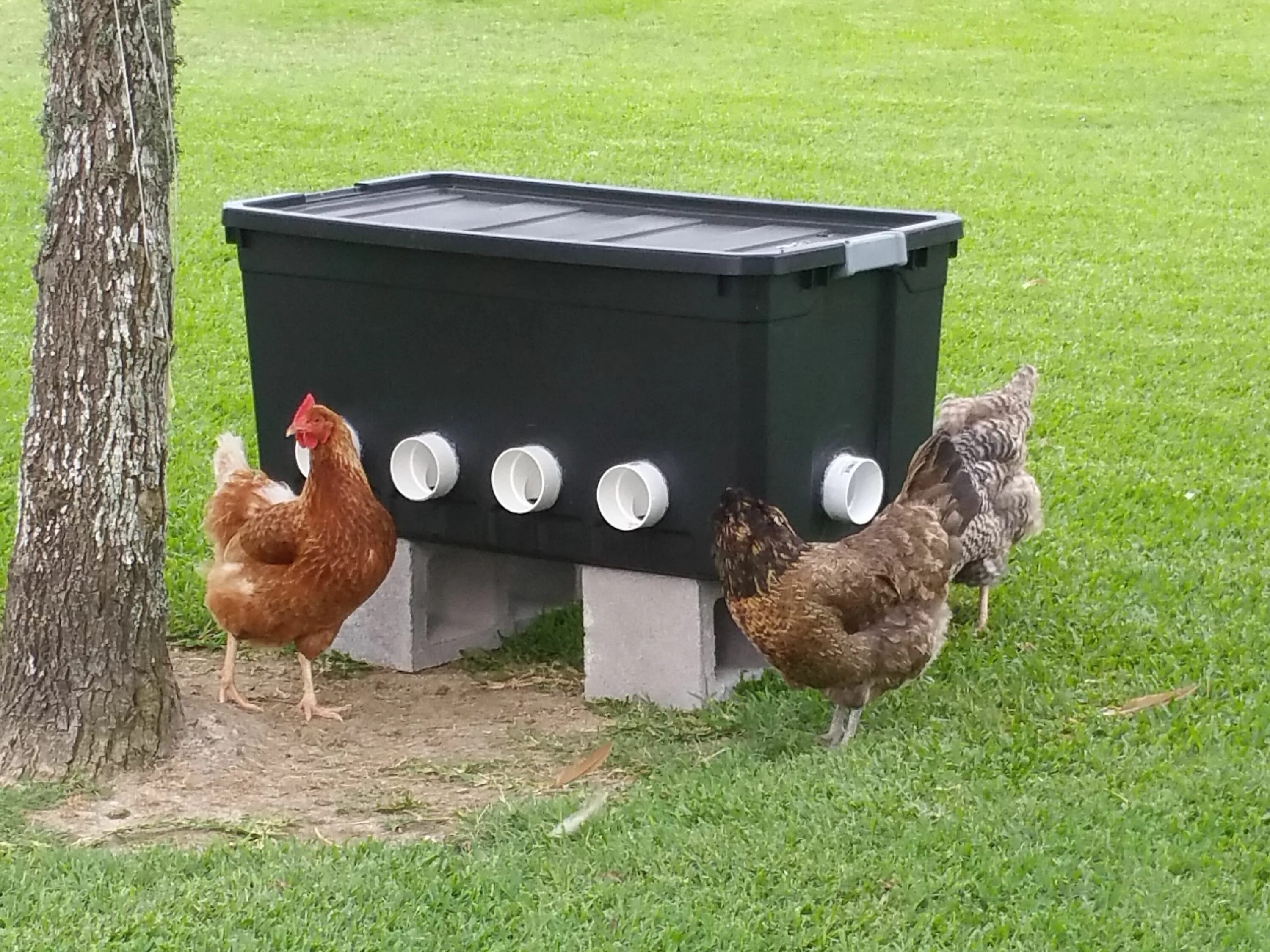 Курятники для кур. Домик гнездо для несушек. Кормушка для куриц. Гнёзда в курятнике для кур.
