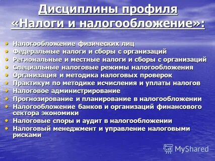 Дисциплина налог