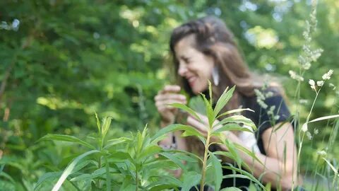 Sacred Warrior: Reclaim Your True Nature & Rewild Through Plants food. curated. 