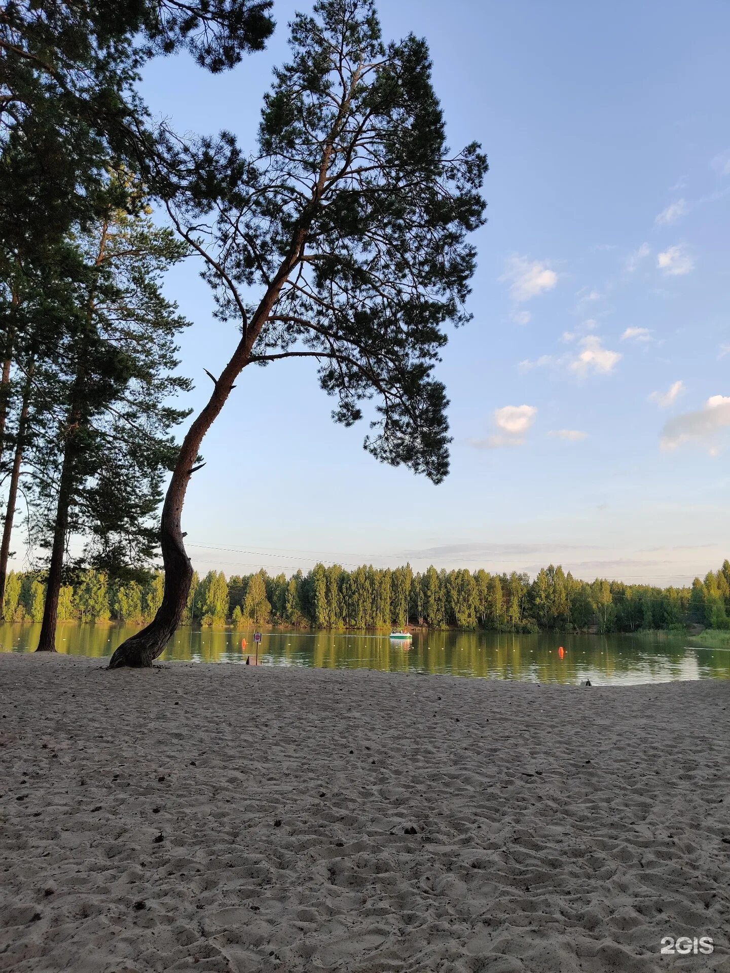 Море леса тюмень. Пруд лесной база тюмень. озеро лесное тюмень. пруд лесной база отдыха. тюмень улица лесной пруд 1 пруд лесной.