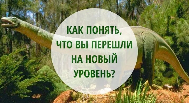 Также на новый уровень и. Перейти на новый уровень. новый уровень отношений. переходи на новый уровень. переход на новый уровень в отношениях.