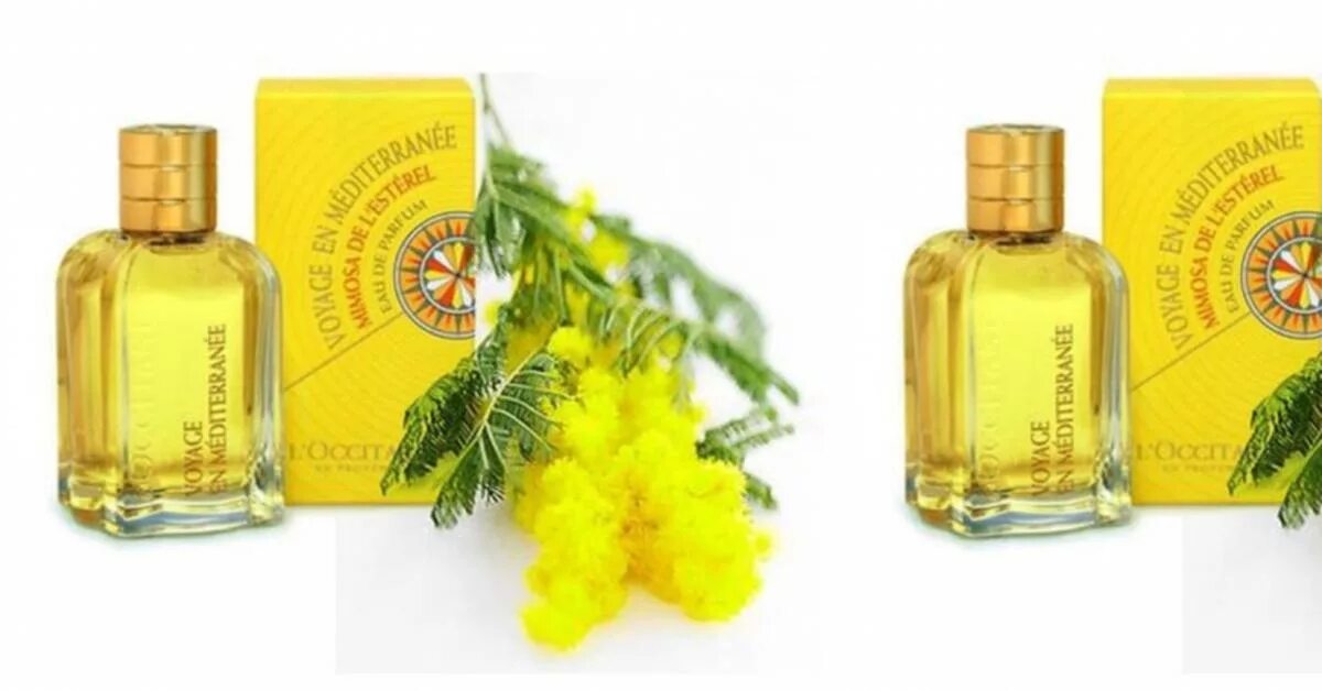 L`Occitane Voyage en Mediterranee Mimosa духи. Локситан духи Мимоза. L'Occitane духи Mediterranee. L'Occitane en Provence духи.