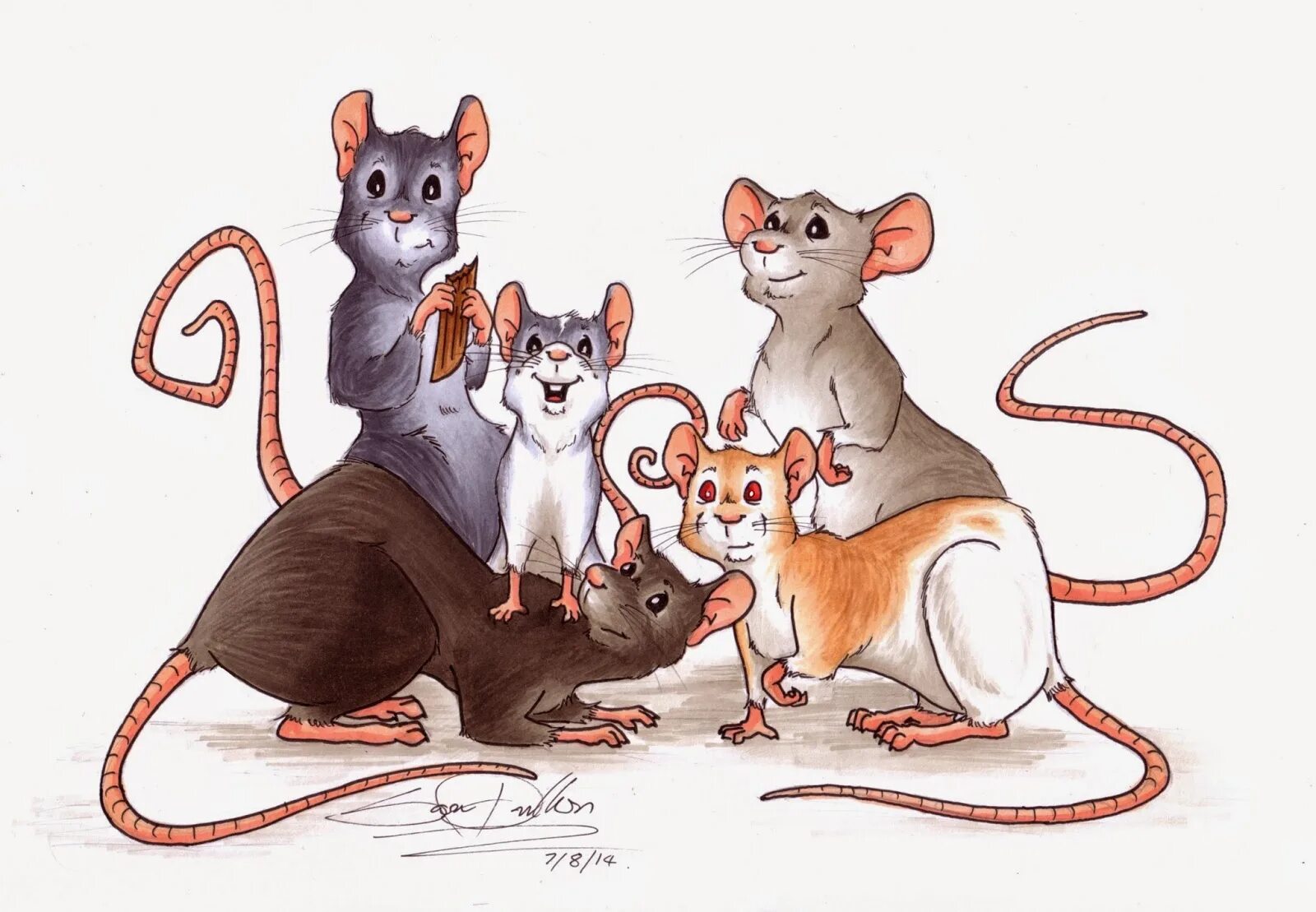 Пять мышей. Семейство крыс. Пять крыс. Семья крыс. Крыса с крысятами.