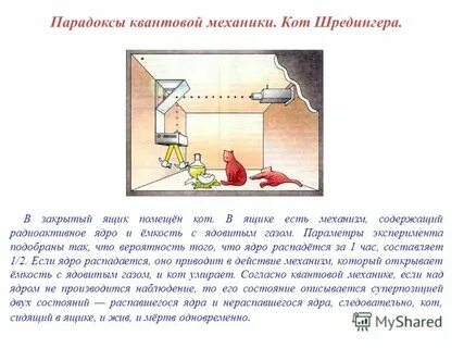 Стена шредингера