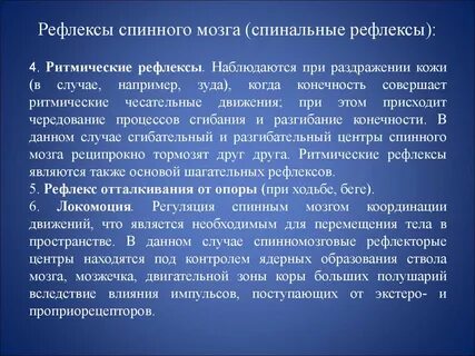 Осуществление рефлексов спинной мозг какая функция