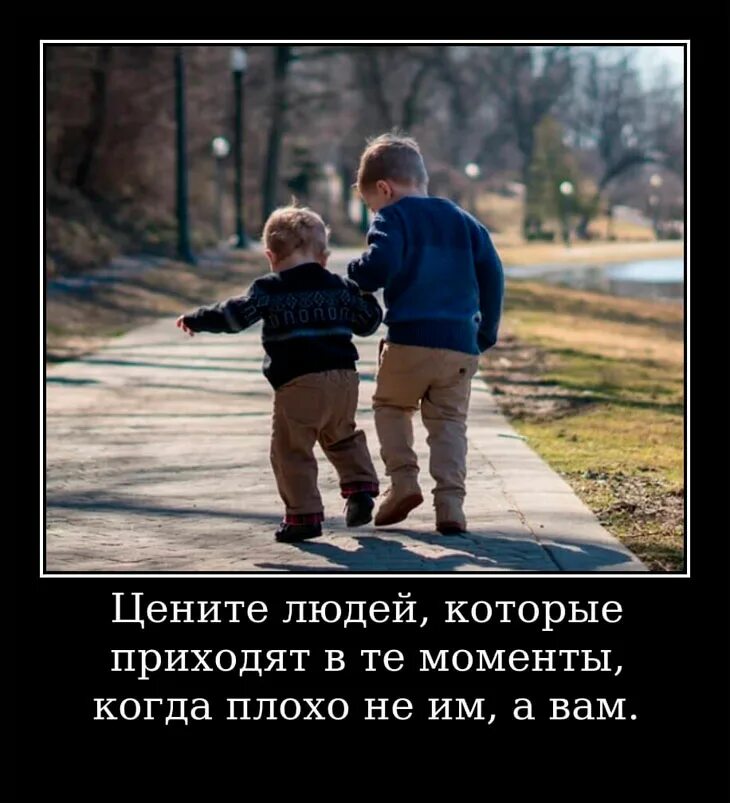 Смешные картинки про дружбу. Дружба картинки прикольные. Фразы про дружбу. Дружба картинки. Включи про друзей там.