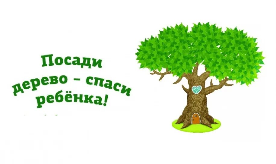 посади четыре дерева. деревья в парке задания. посади четыре дерева. посадка деревьев детьми. посади четыре дерева.