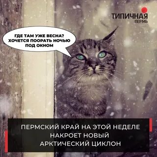 Холода отступают