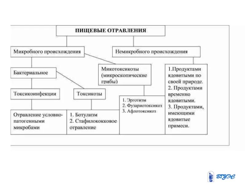 Группа пищевых заболеваний. Классификация пищевых отравлений таблица. Классификация пищевых отравлений микробного происхождения схема. Класификация ПИЩЕВИХ отравоение. Классификация пищевых отравлений микробной природы.