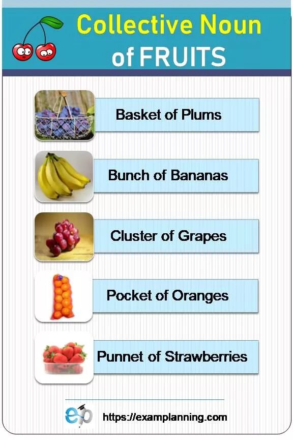 Collective Nouns Fruits. Collective Nouns Rules. Collective Nouns Worksheets.