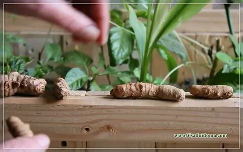 Положено корень