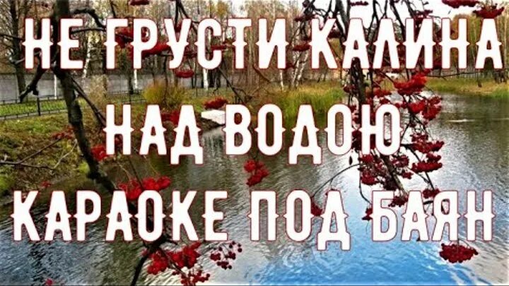 Калина над водою. Не грусти Калина над водою не. Не грусти Калина над водою слова. Не грусти Калина.