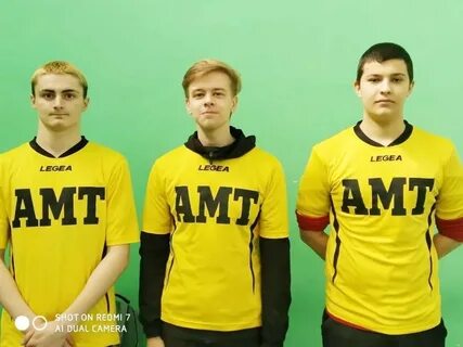 Амт алексин