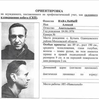 Журнал экспериментов по распознаванию преступников синее существо