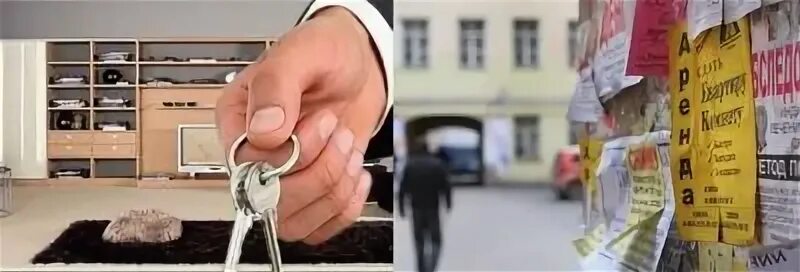 Сдача жилья в аренду без уплаты налога