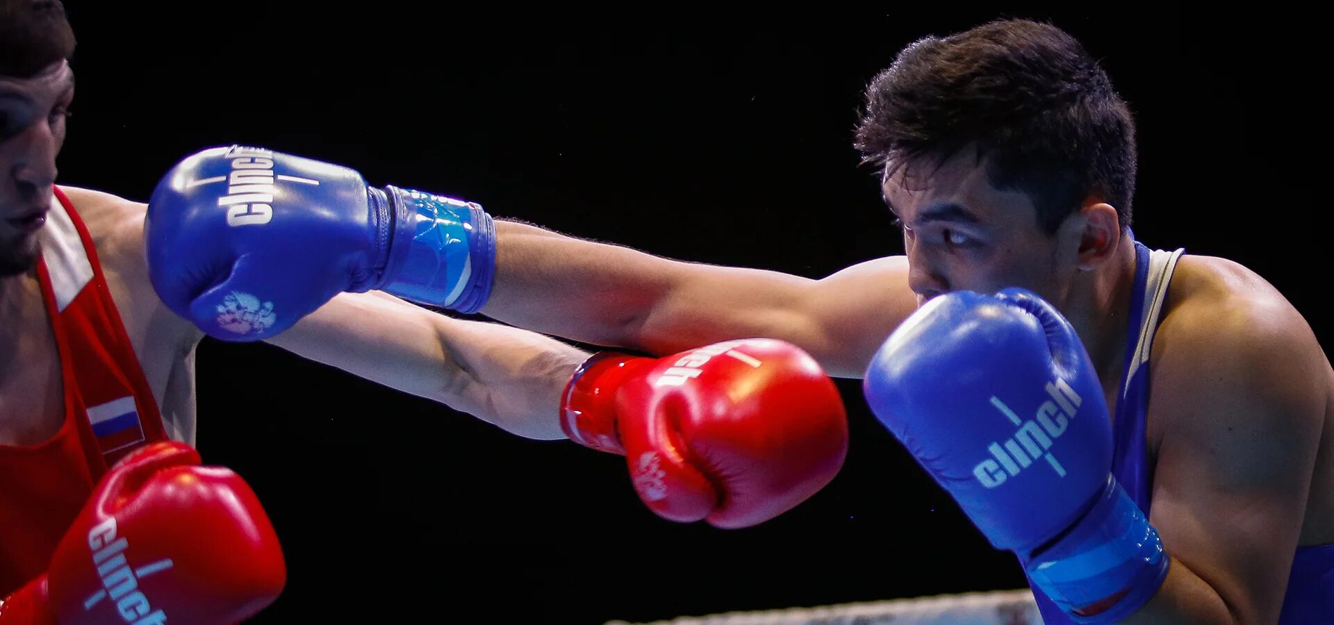 Бокс серпухов 2024. Российские боксеры. Российские боксеры. Российские боксеры фото. Цфо бокс.