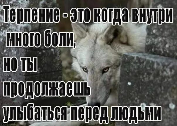 Много боли. Терпение это когда внутри много. Терпение это когда внутри много боли. Слишком много боли. Последняя капля терпения высказывания.