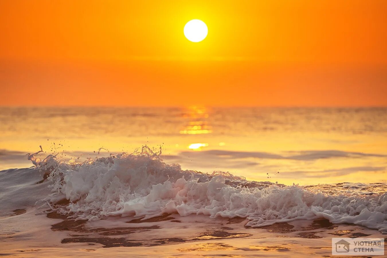 Отель Флагман Анапа Витязево. Запись со стены. Beautiful sunrise, Ocean illustra