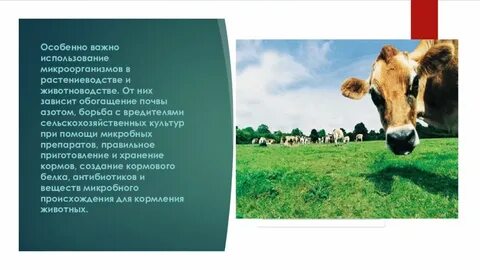 Использование биологических систем в сельском хозяйстве