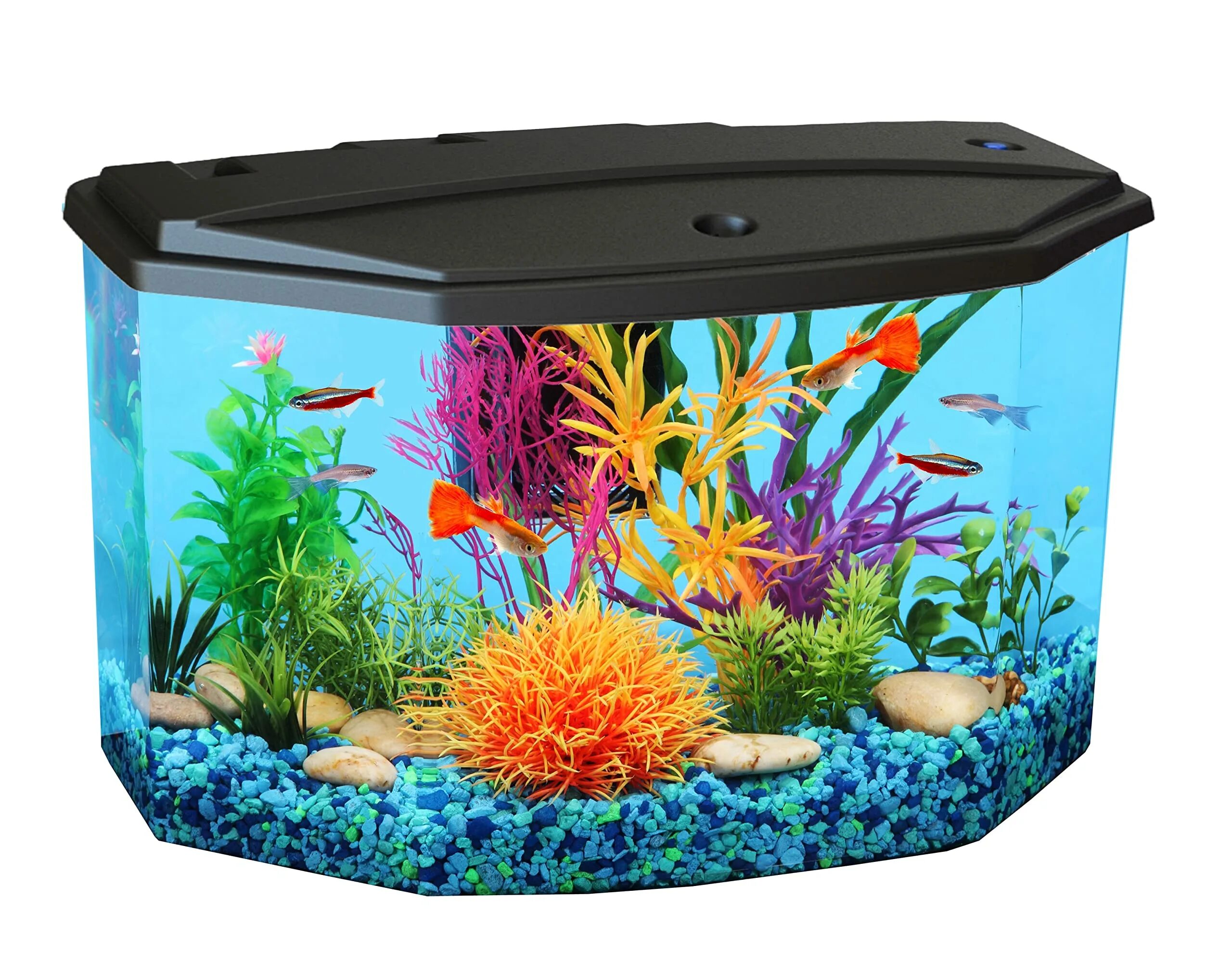 Hexagon аквариум. Tank for Fish. Resun аквариум Starter Kit stk20 75.7л 612x320x431мм. Аквариумистика для начинающих. Aquarium 3