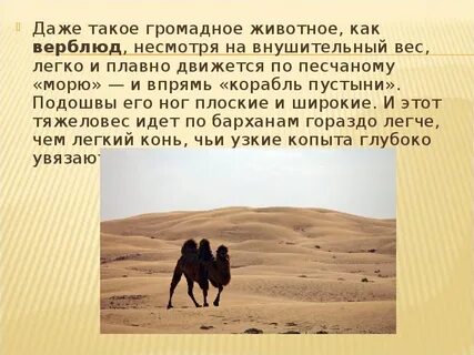 Сообщение о пустыне 5 класс биология