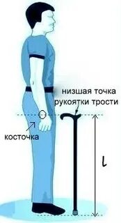 Как правильно установить палки для