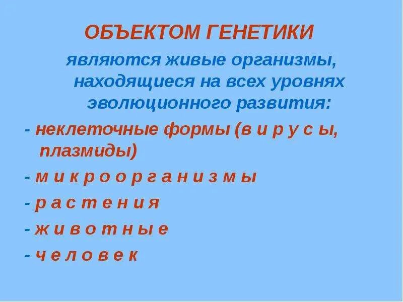 Генотип объекта
