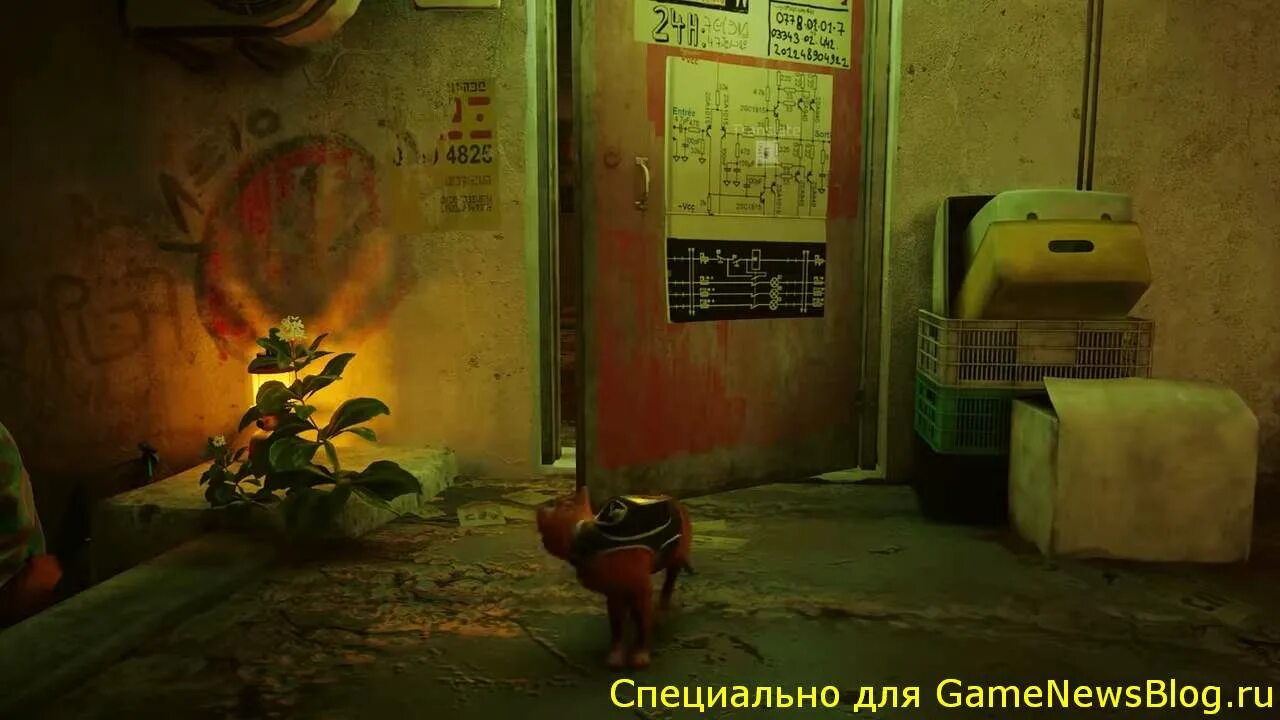 Трущобы stray. Трущобы в играх. stray трущобы. трущобы из игры stray. stray игра.