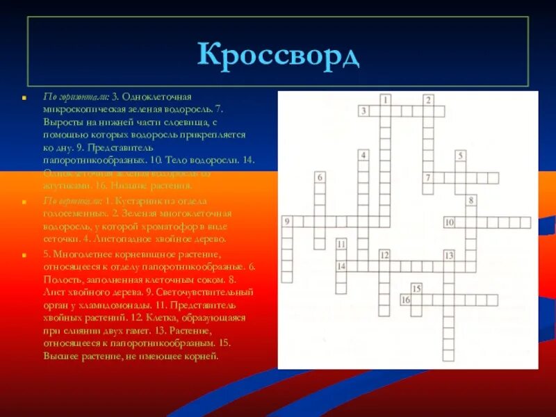 Кроссворд лишайники. Кроссворд биология. Кроссворд по биологии по теме царство растений. Кроссворд по биологии. Кроссворд по биологии с вопросами.